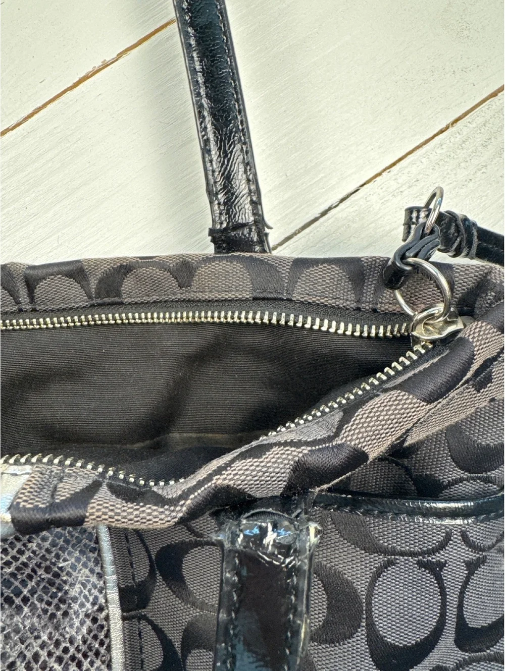 Y2K coach python stripe bag